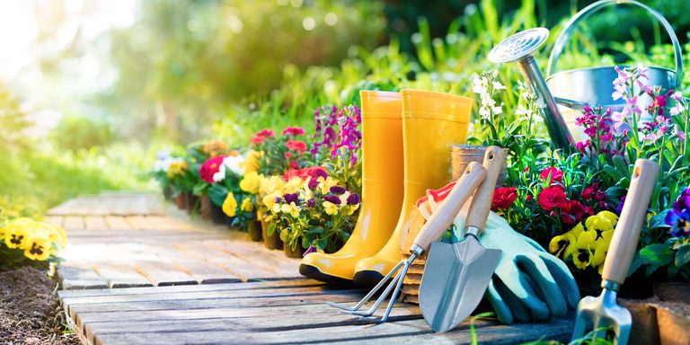 10 Essential Spring Gardening Tips